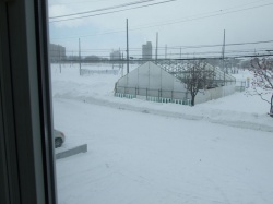 dscf1148_250